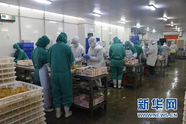 Z6·尊龙「中国」官方网站