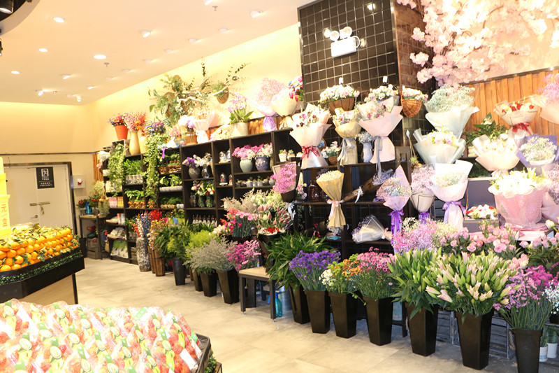 Z6·尊龙「中国」官方网站