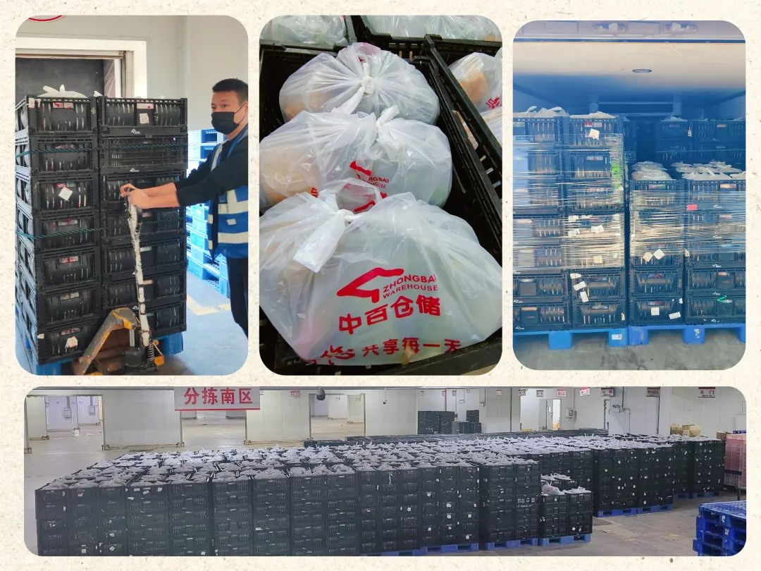 Z6·尊龙「中国」官方网站