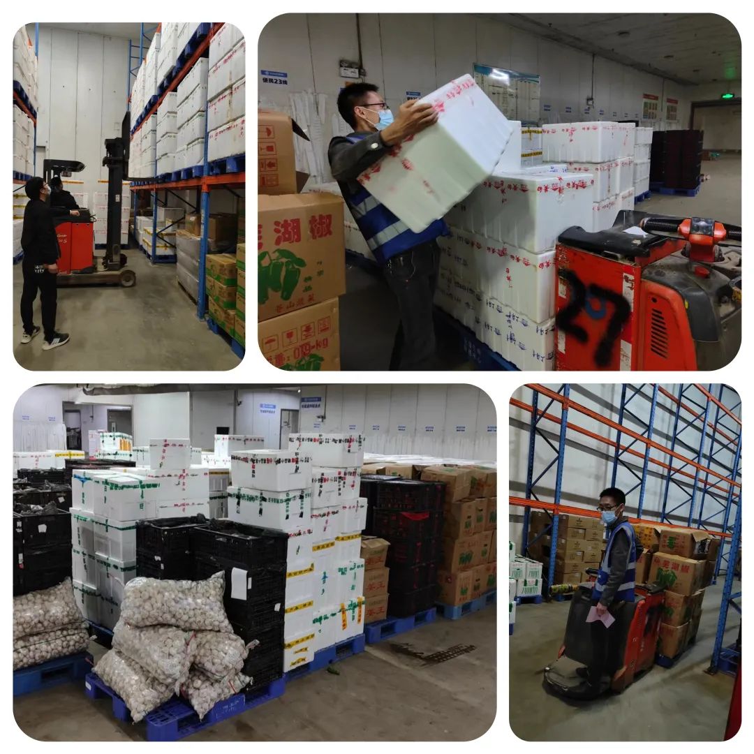 Z6·尊龙「中国」官方网站