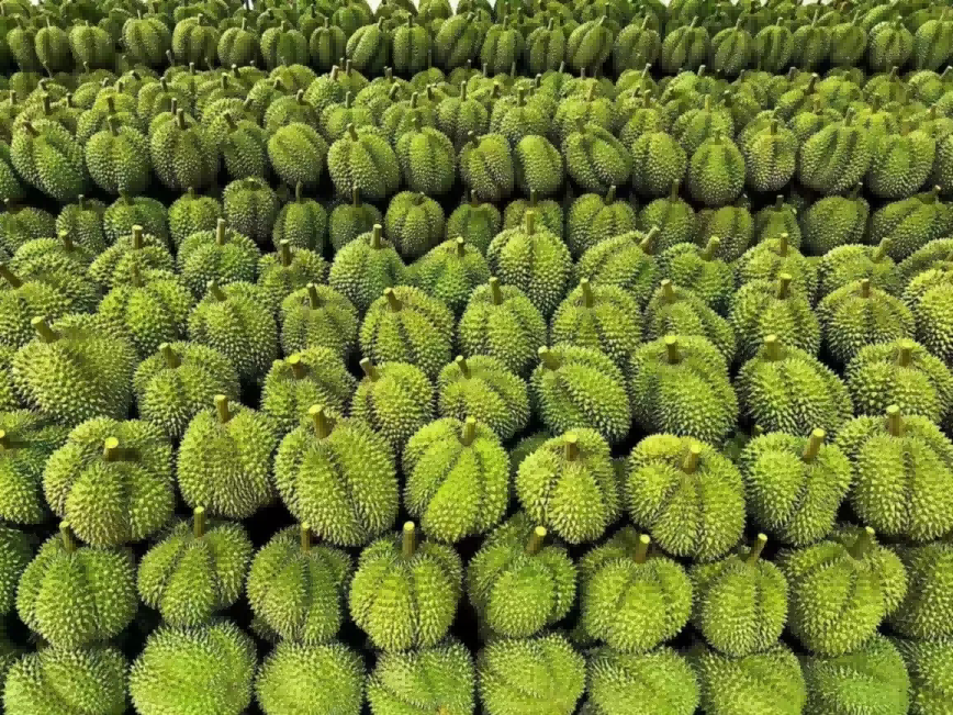 Z6·尊龙「中国」官方网站