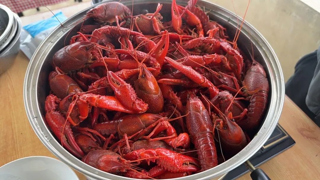 Z6·尊龙「中国」官方网站