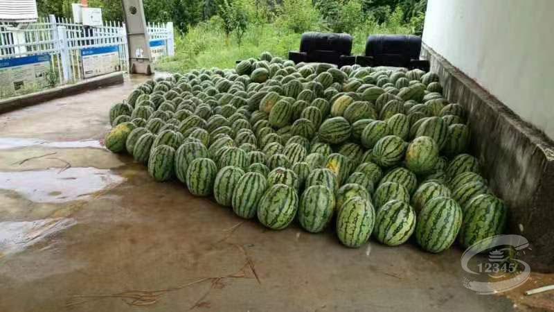 Z6·尊龙「中国」官方网站