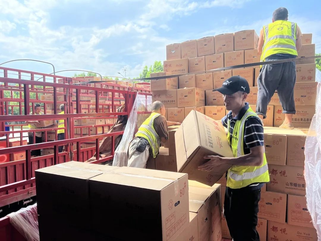 Z6·尊龙「中国」官方网站