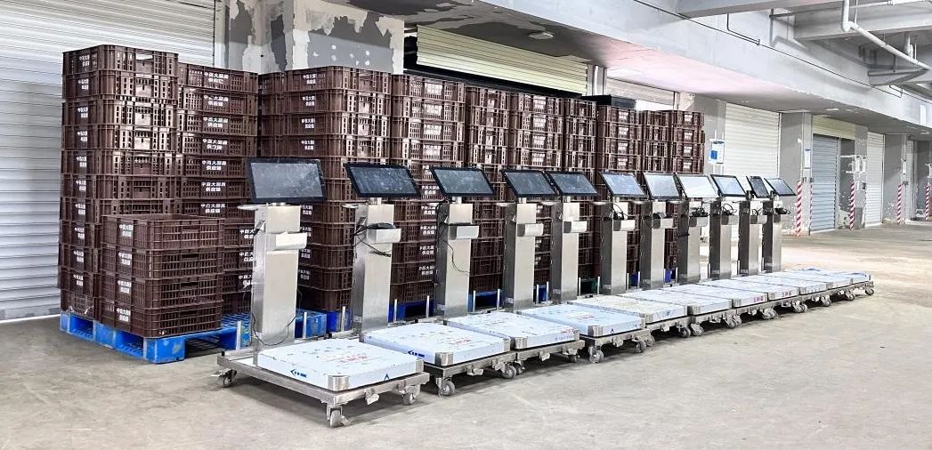 Z6·尊龙「中国」官方网站