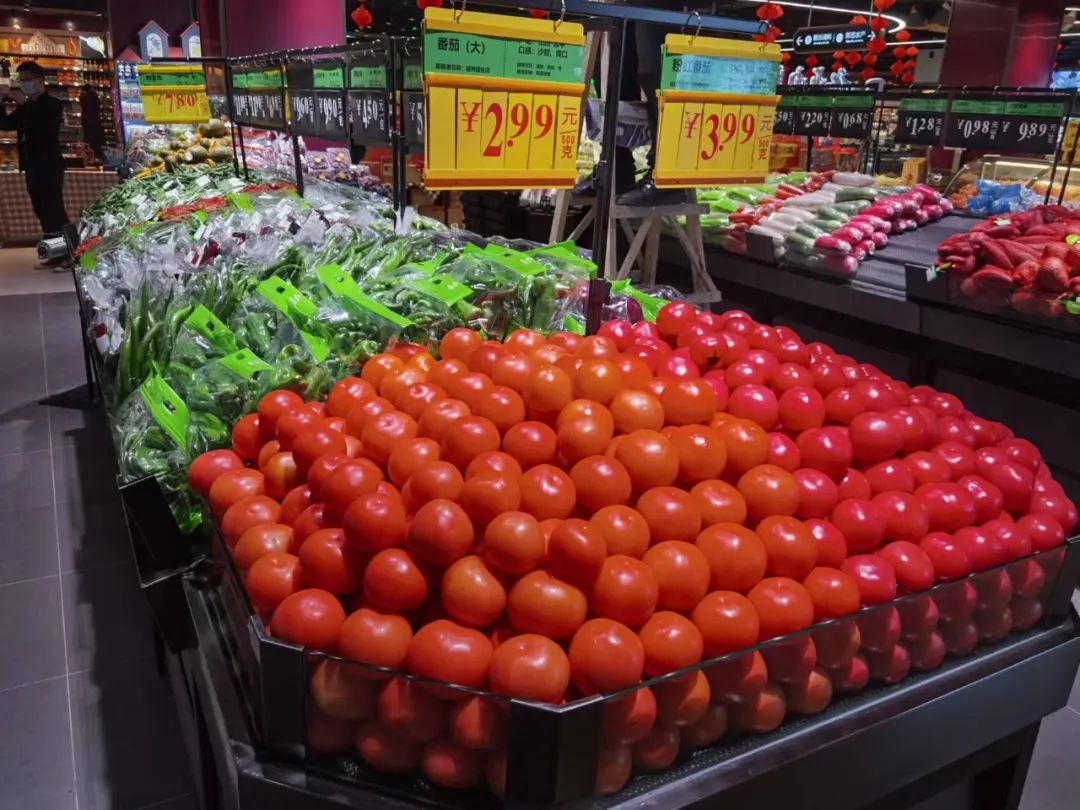 Z6·尊龙「中国」官方网站