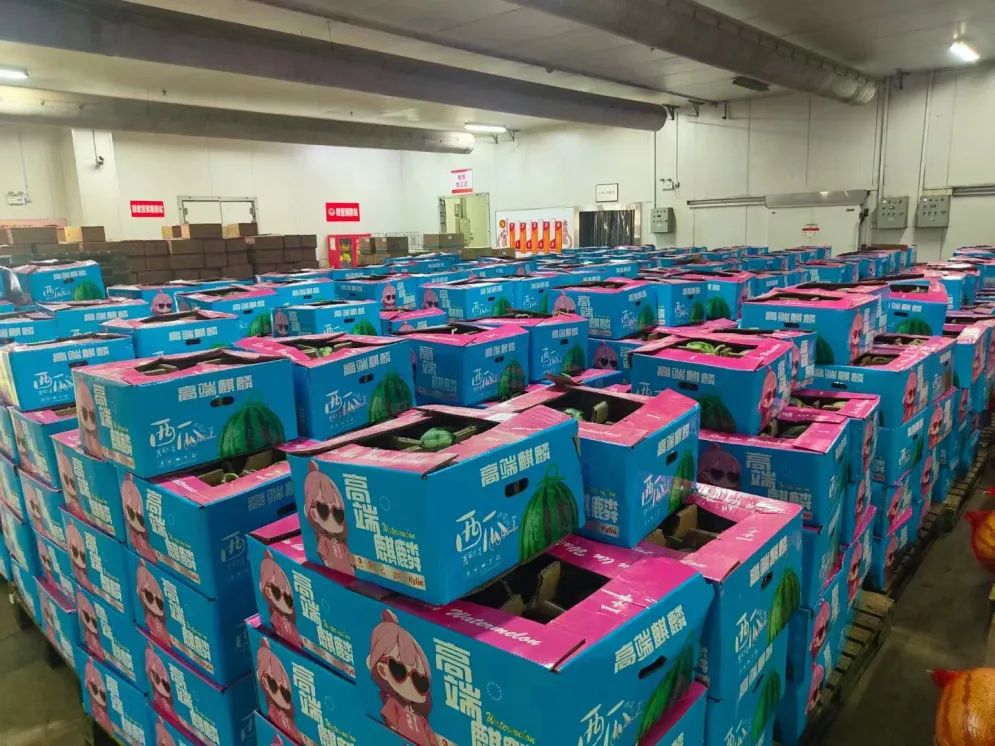 Z6·尊龙「中国」官方网站