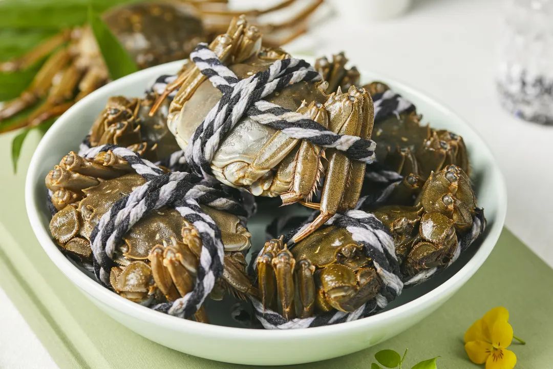 Z6·尊龙「中国」官方网站