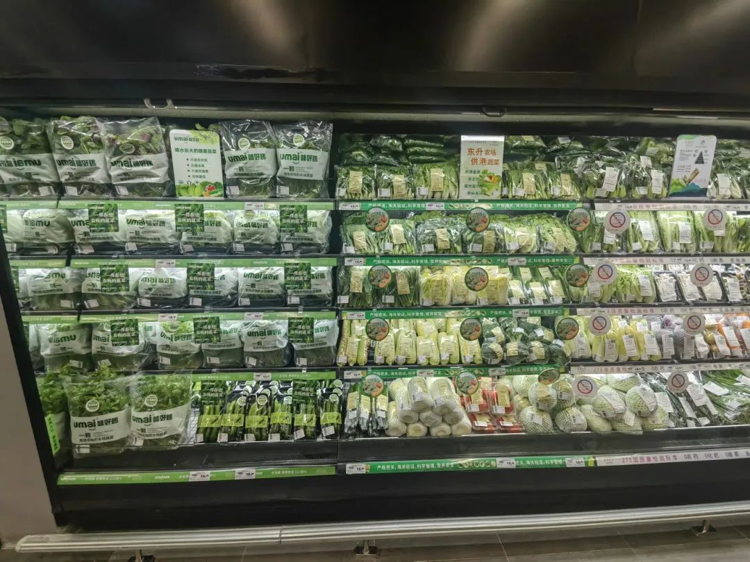 Z6·尊龙「中国」官方网站