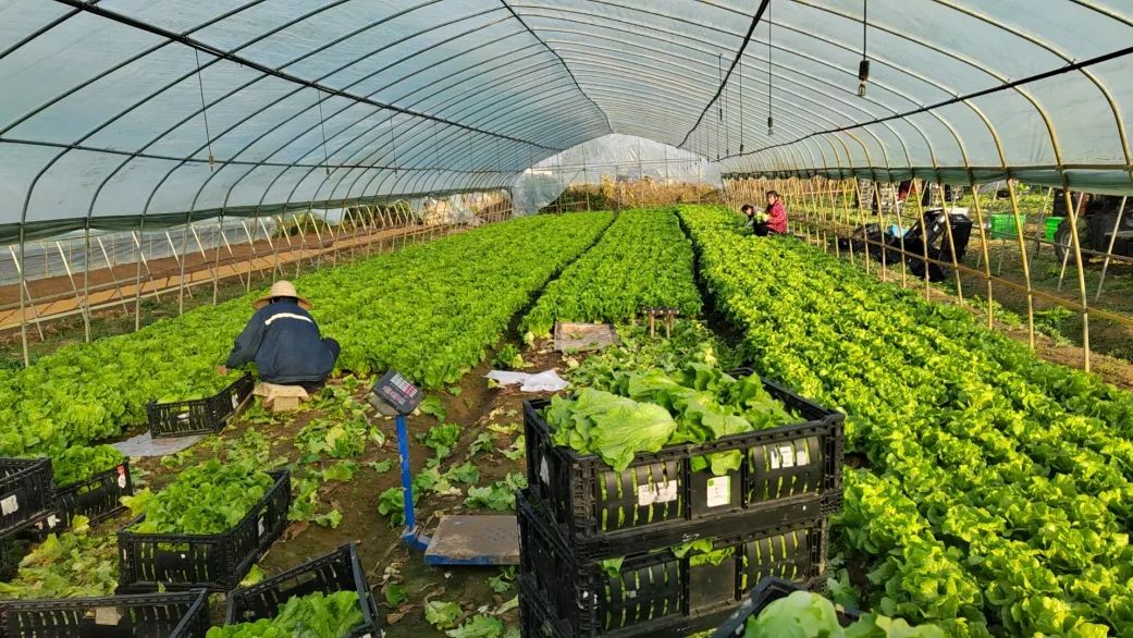 Z6·尊龙「中国」官方网站