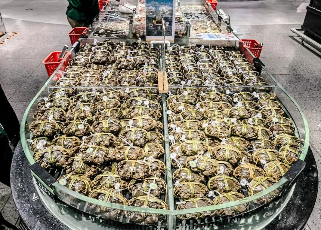 Z6·尊龙「中国」官方网站