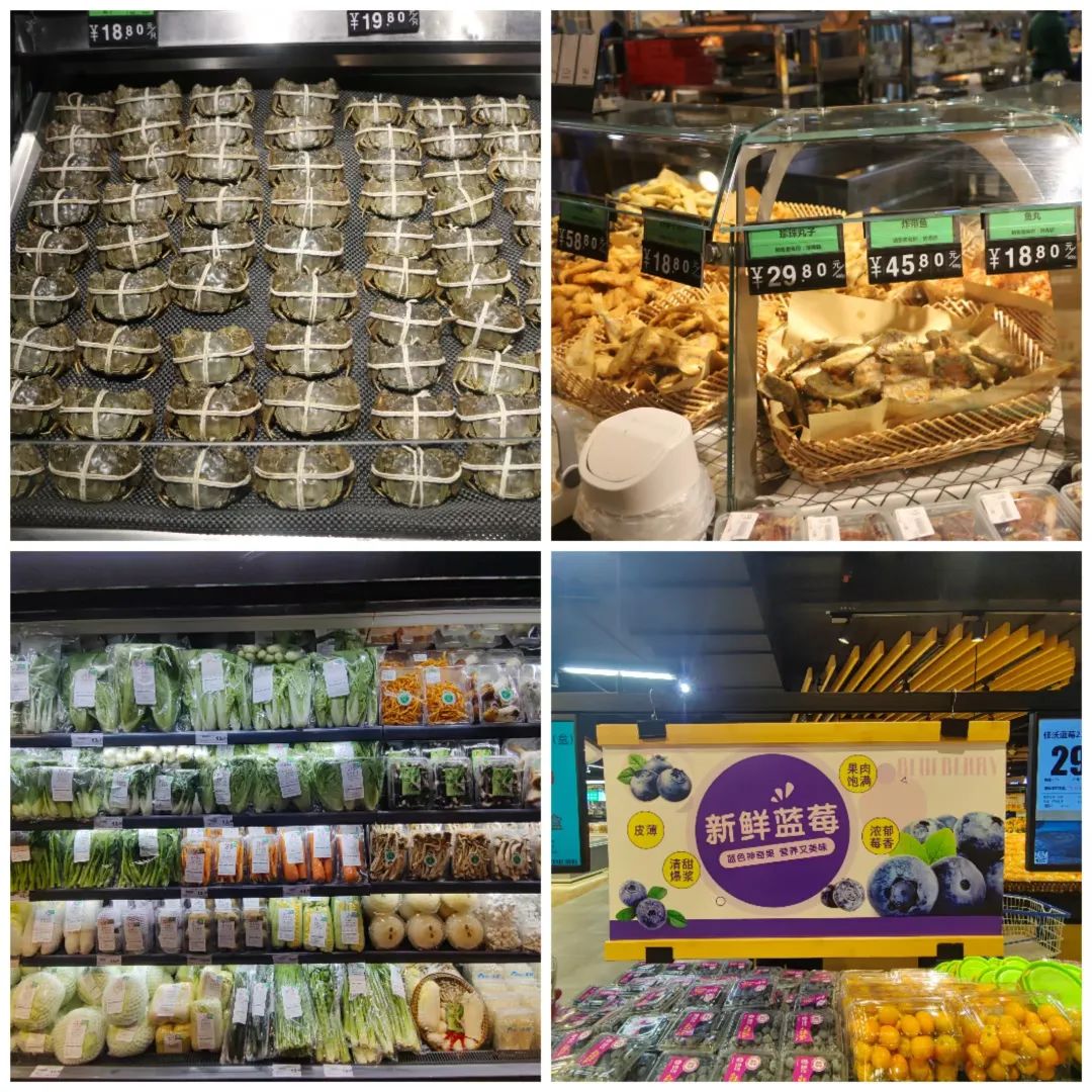 Z6·尊龙「中国」官方网站