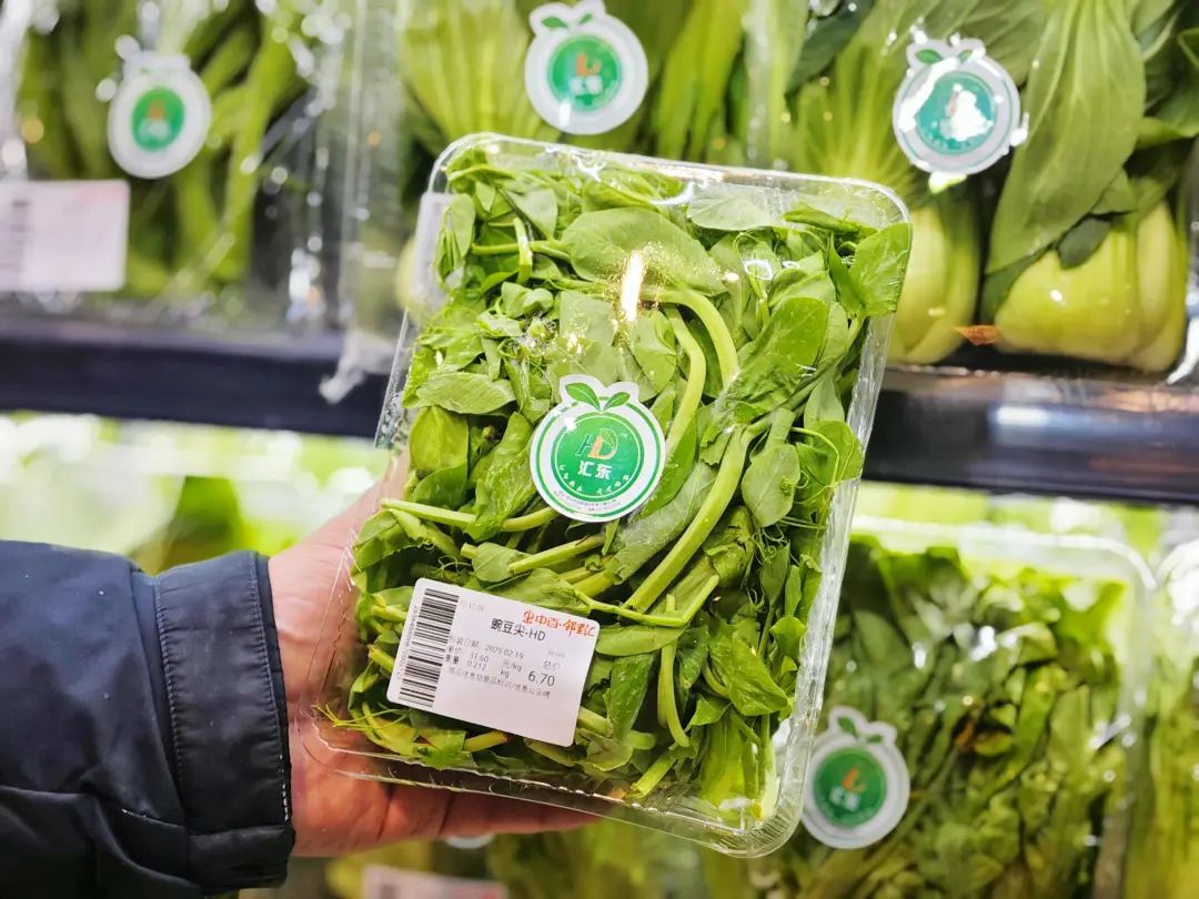 Z6·尊龙「中国」官方网站