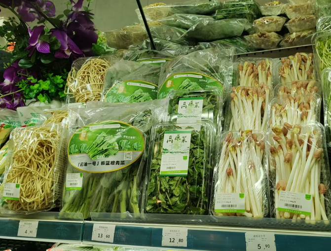 Z6·尊龙「中国」官方网站