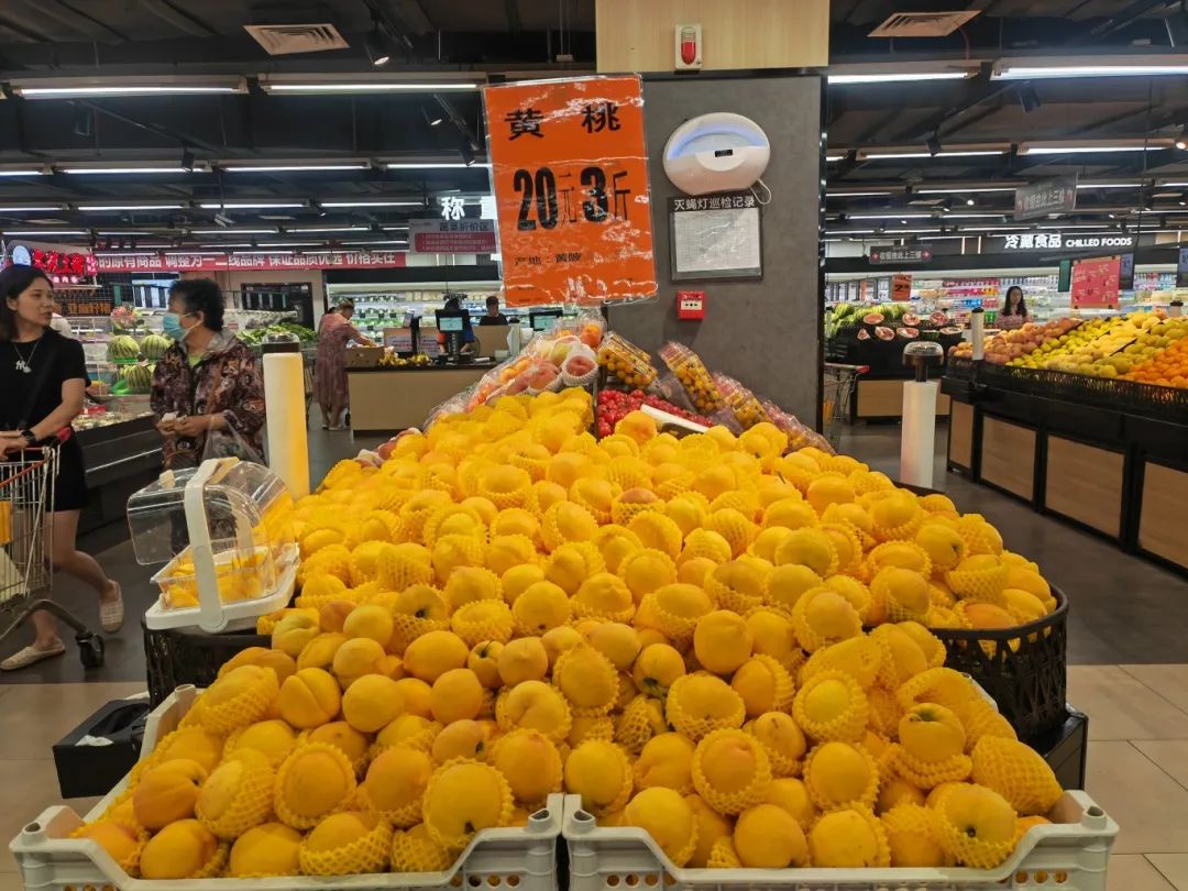 Z6·尊龙「中国」官方网站