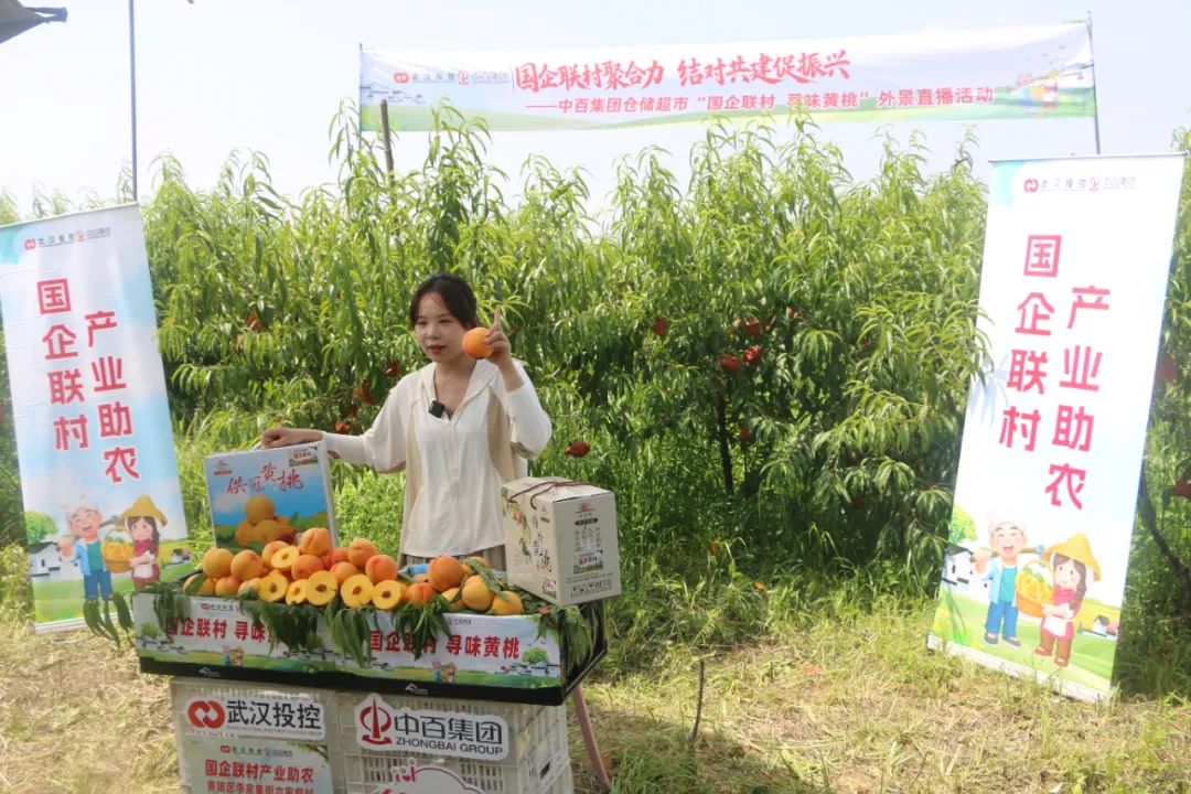 Z6·尊龙「中国」官方网站