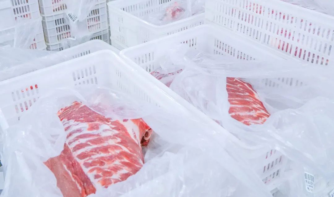 Z6·尊龙「中国」官方网站