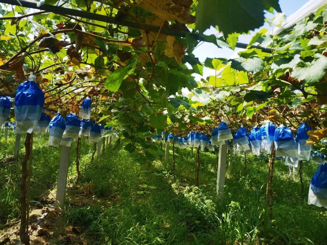 Z6·尊龙「中国」官方网站