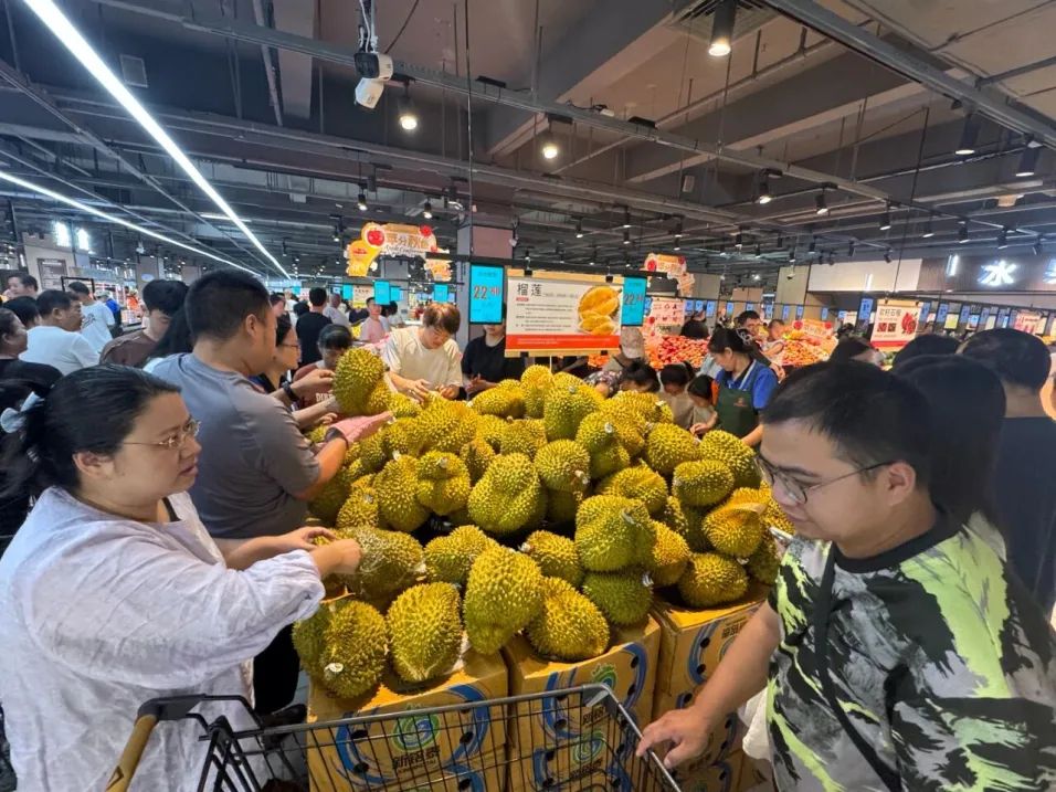 Z6·尊龙「中国」官方网站