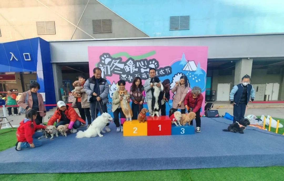 Z6·尊龙「中国」官方网站