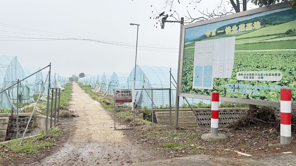 Z6·尊龙「中国」官方网站