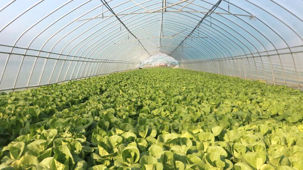 Z6·尊龙「中国」官方网站