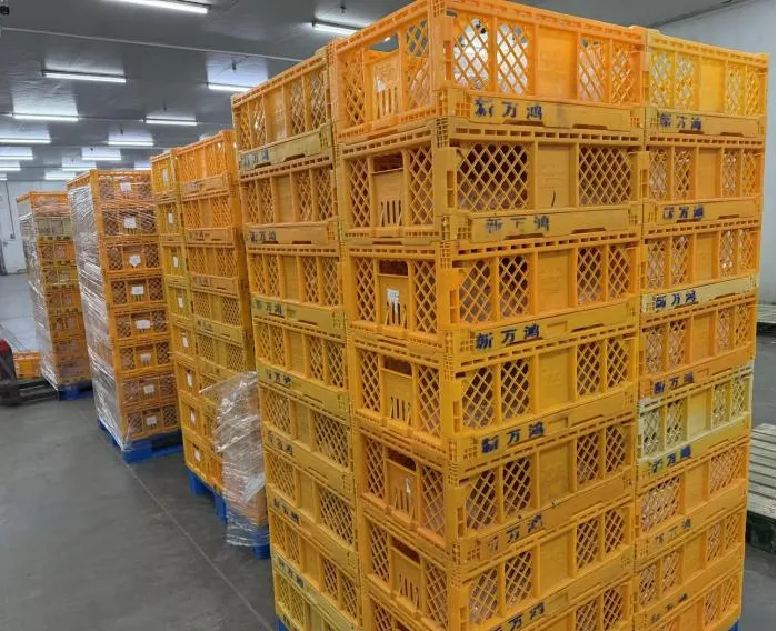 Z6·尊龙「中国」官方网站