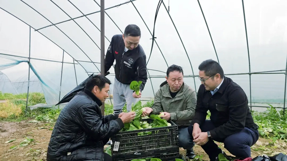 Z6·尊龙「中国」官方网站